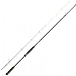 Canne Spinning Daiwa BG Tenya Game 2m40 2 133g 10 - 42g