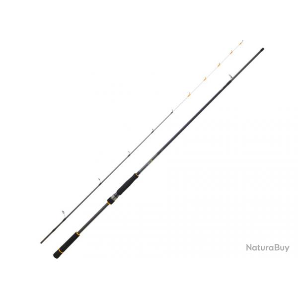 Canne Spinning Daiwa BG Tenya Game 2m40 2 133g 10 - 42g