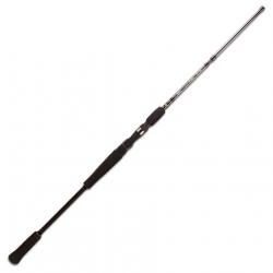 Canne Casting BFT Raptor 6'6 Jerkbait 1m98 max 150g