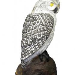 SRT - CIBLE 3D CHOUETTE BLANCHE (WHITE SCREECH OWL)
