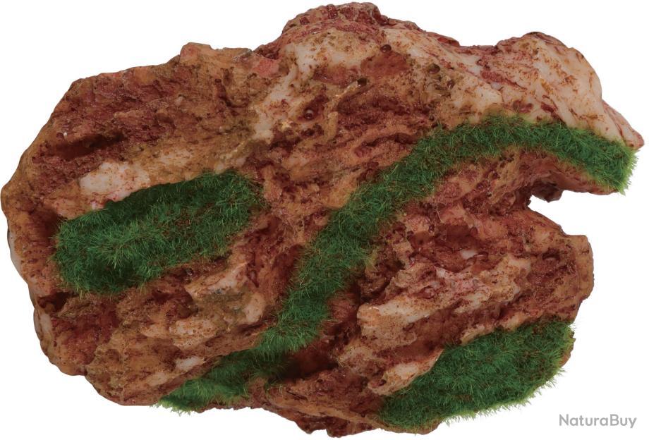 Déco idro kit Arizona décor qui pousse petit model 12 x 8.6 x 5 cm