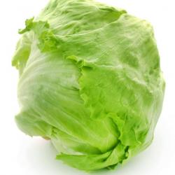 150 Graines de Laitue Iceberg - salade potagère - semences paysannes reproductibles - SemiSauvage