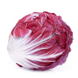 250 Graines de Chicorée à Feuilles Rouges - salade potagère - semences paysannes reproductibles - Se