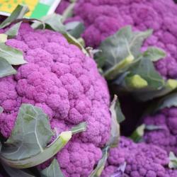 100 Graines de Chou-Fleur Violet - jardins potager légumes rare- semences paysannes reproductibles -