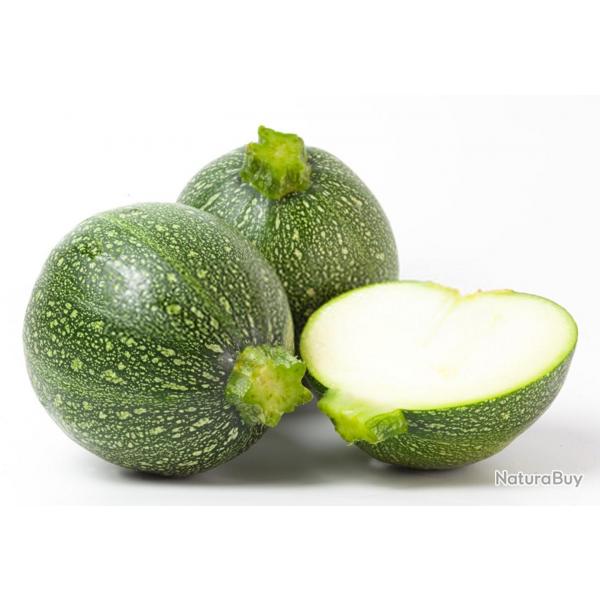 25 Graines de Courgette ronde - lgumes ancien potager -- semences paysannes reproductibles - SemiSa