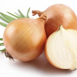 250 Graines d'Oignon Jaune Paille - légumes potager aromatique - semences paysannes reproductibles -
