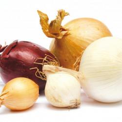 200 Graines d'Oignons Mélange coloré - légumes potager aromatique - semences paysannes reproductible