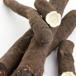 12 Graines de Salsifis Énorme - légumes ancien potager- semences paysannes reproductibles - SemiSauv