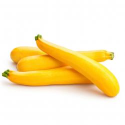 25 Graines de Courgette Goldena - légumes jardins potager- semences paysannes reproductibles - SemiS