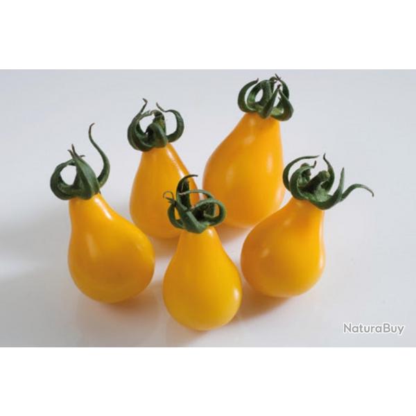 35 Graines de Tomate Cerise Poire Jaune - lgume jardin potager - semences paysannes reproductibles 
