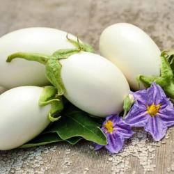 60 Graines d'Aubergine White egg - légume jardin potager terrasse - semences paysannes reproductible