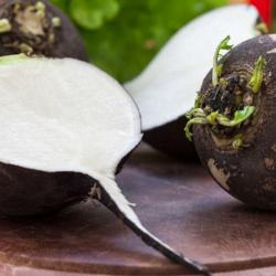 250 Graines de Radis Noir gros rond d'hiver - jardins potager - semences paysannes reproductibles - 