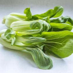 300 Graines de Chou Chinois Pak Choï - légumes ancien potager - semences paysannes reproductibles - 