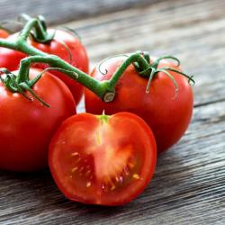 30 Graines de Tomate Saint Pierre - légume ancien jardin potager - semences paysannes reproductibles