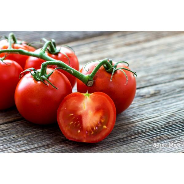 30 Graines de Tomate Saint Pierre - lgume ancien jardin potager - semences paysannes reproductibles