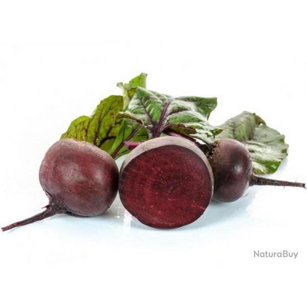 100 Graines de Betterave Rouge - lgumes jardin potager - semences paysannes reproductibles - SemiSa