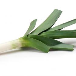 200 Graines de Poireau - légumes jardin potager- semences paysannes reproductibles - SemiSauvage