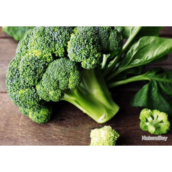 500 Graines de Brocolis Verts Calabrais - jardins potager lgumes - semences paysannes reproductible