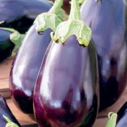 60 Graines d'Aubergine Black Beauty - légume jardin potager - semences paysannes reproductibles - Se