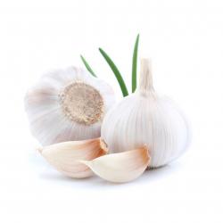 250 Graines d'Ail Blanc - plantes légumes fleurs aromatique potager- semences paysannes reproductibl