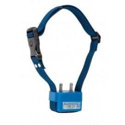 Sangle nylon bleu - Largeur 25 mm pour collier anti-aboiement CANICALM