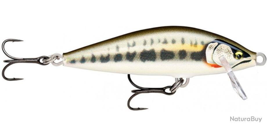 Nouveau leurre trute COUNTDOWN ELTE de RAPALA | Crankys | Leurre