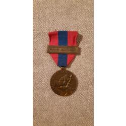 Médaille de la défense nationale bronze avec agrafe TAP