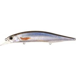 Leurre Duo Realis Jerkbait 120 Sp Pike Ltd ROACH