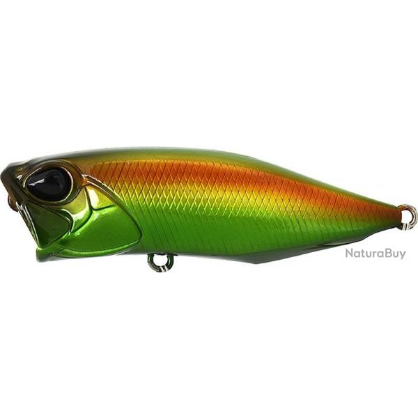 Leurre Duo Realis Popper 64 JEWEL BEETLE