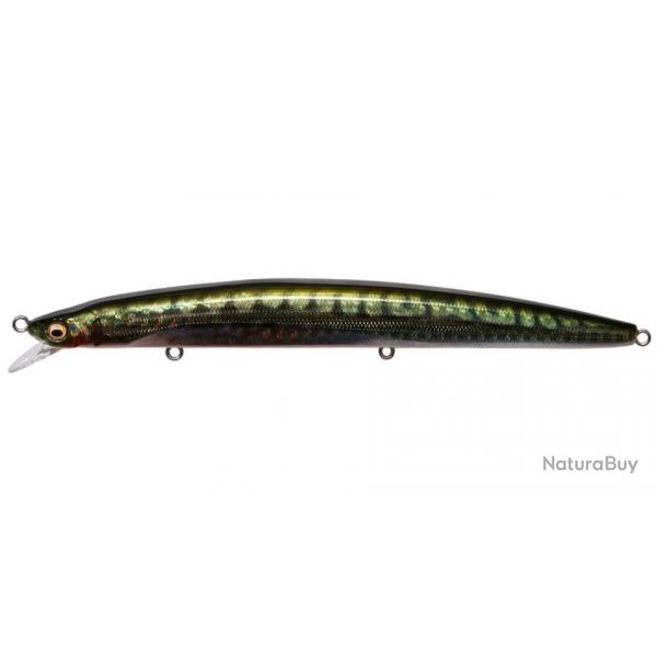 Leurre Megabass Cookai Slim 140F GREEN MACKEREL