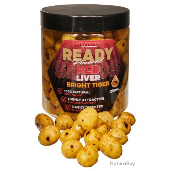 Graine Starbaits Ready Seeds Bright Tiger Red Liver 250Ml
