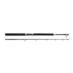 Ensemble Casting Abu Garcia Rod Gt 602 + 30LBs Boat