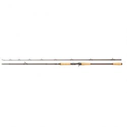 Canne Abu Garcia Beast Pro 862 Xh Power Pike 50-150G Cast 2,59M