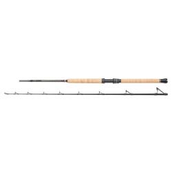 Canne Penn Regiment III Pro Boat 702 12-20LB 2.13M