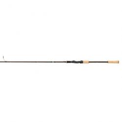 Canne Abu Garcia Diplomat X 100H 20-60G 5Pc Spin 3,04M