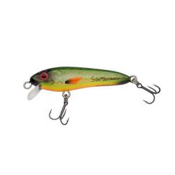 Leurre Jerkbait Abu Garcia Mccelly 70Mm 9G FIRE CARP