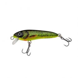 Leurre Jerkbait Abu Garcia Mccelly 70Mm 9G REAL HOT PIKE