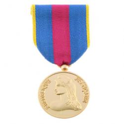 Médaille Réserviste Volontaire de la Défense Or