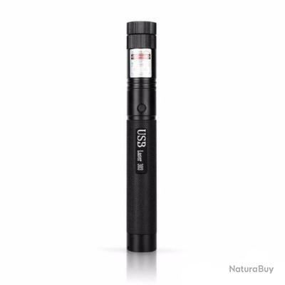 Pointeur Laser Haute Puissance Rechargeable, Couleur: Rouge Red ...