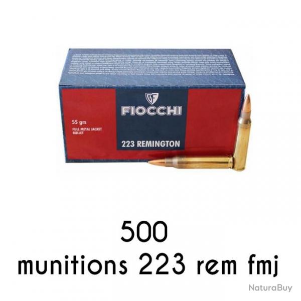 1000 Munitions Fiocchi 223 Rem FMJ 55 gr 
