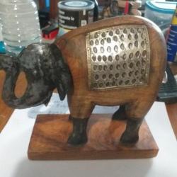 Éléphant unique des Indes des années 50