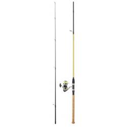 Ensemble Daiwa Poisson mort Sweepfire 02 - 2.60m 10-50g + Sweepfire 2500