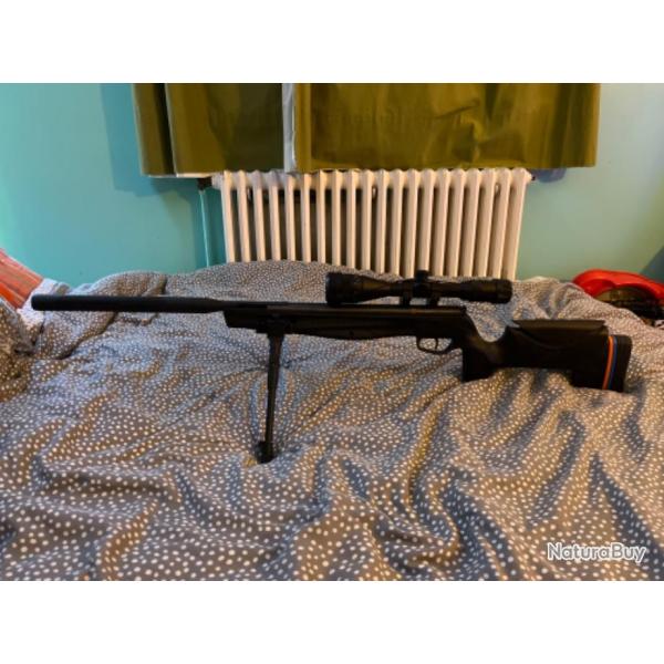 Carabine  plomb 19,9 joules stoeger RX 20 TAC