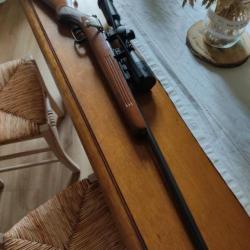 Manu-arm 22 lr