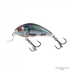 Poisson Nageur Salmo Rattlin Hornet Shallow 3,5cm HRD- Holographic Real Dace