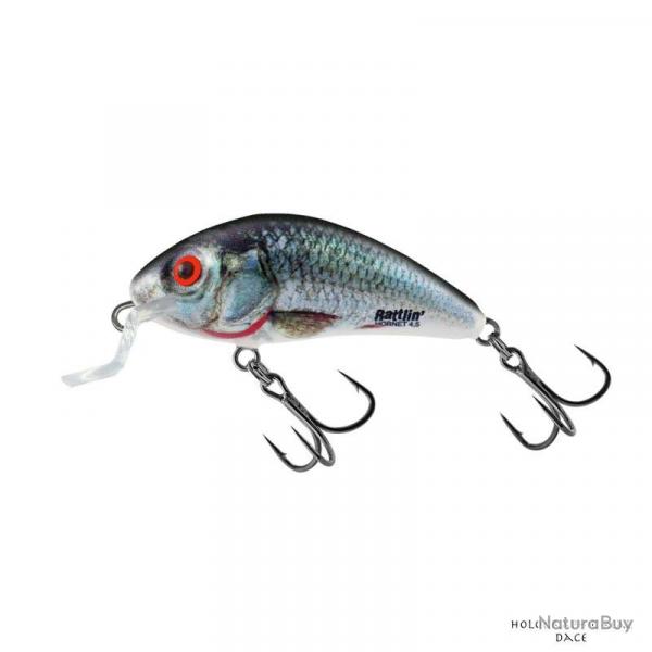 Poisson Nageur Salmo Rattlin Hornet Shallow 3,5cm HRD- Holographic Real Dace