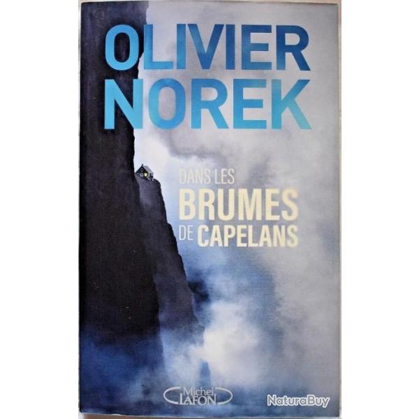 Dans les brumes de Capelans - Olivier Norek