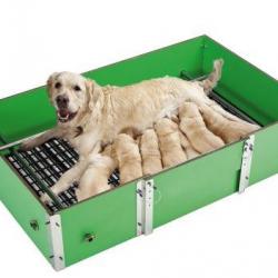 Cage élevage pour chiens taille S