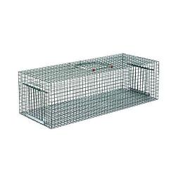 Cage de capture pour pigeons