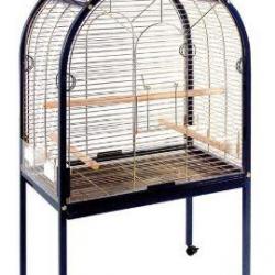 Cage grande courbé perroquet